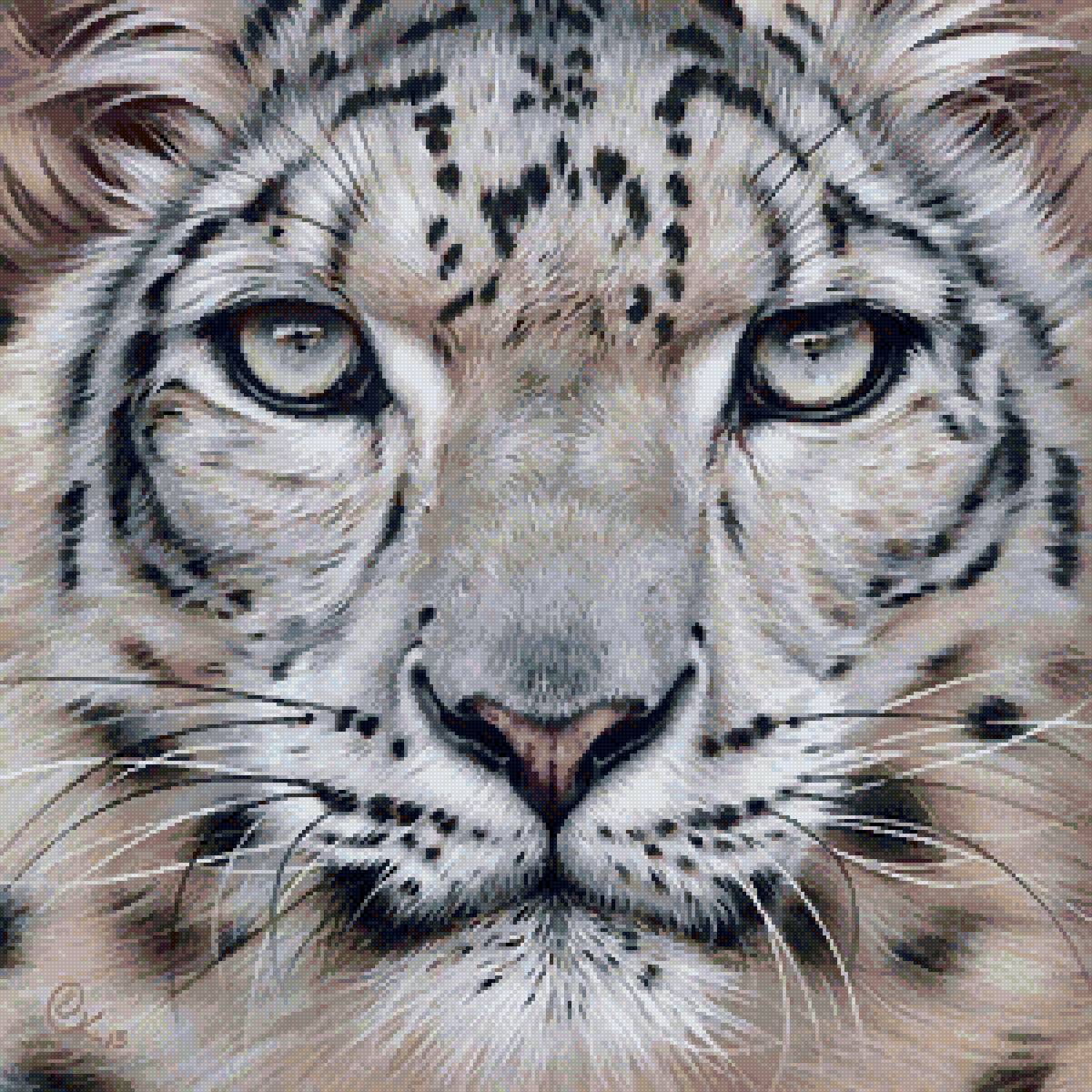 Картинки лица животных. Снежный Барс Ирбис тату. Ирбис тигр. Снежный Барс Ирбис рисунок. Снежный Барс и тигр.