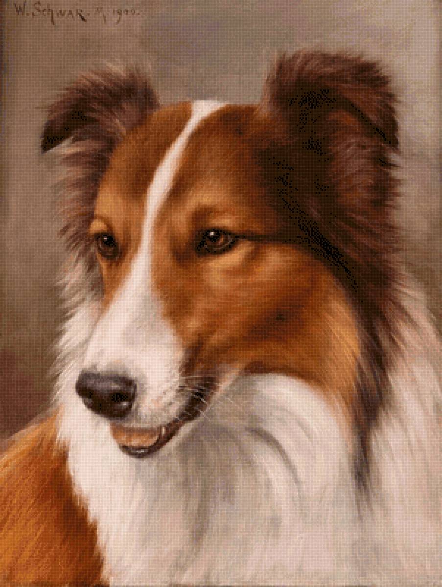 №2482596 - предпросмотр