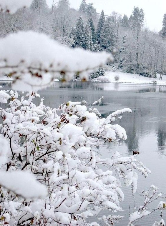 Зима - оригинал