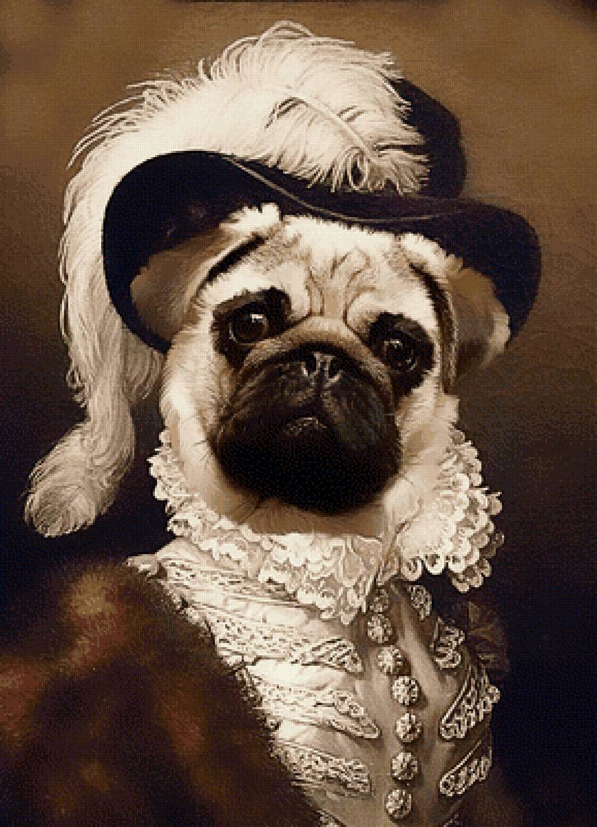 Портрет - собака, портрет, картина, мопс - предпросмотр