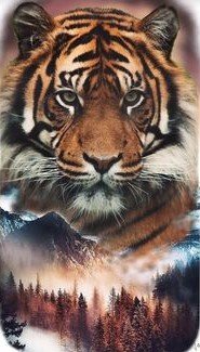 дух природы 2 - природа - оригинал