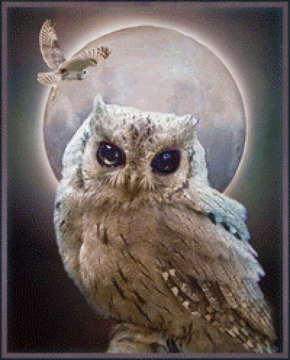 Совушка - луна, сова, полет - предпросмотр