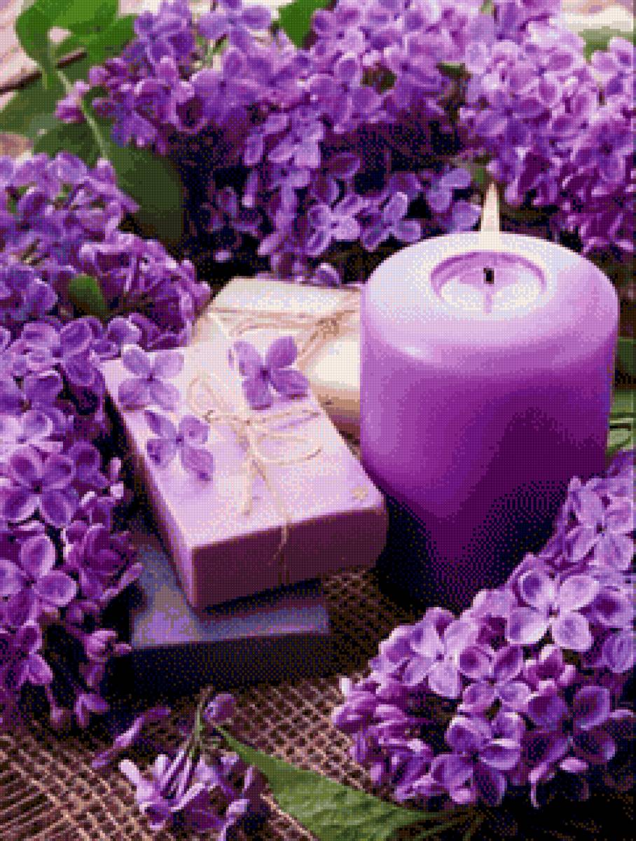 Сирень - цветы, сирень, релакс - предпросмотр