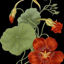 Схема вышивки «№2483680»