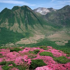 Схема вышивки «№2484079»