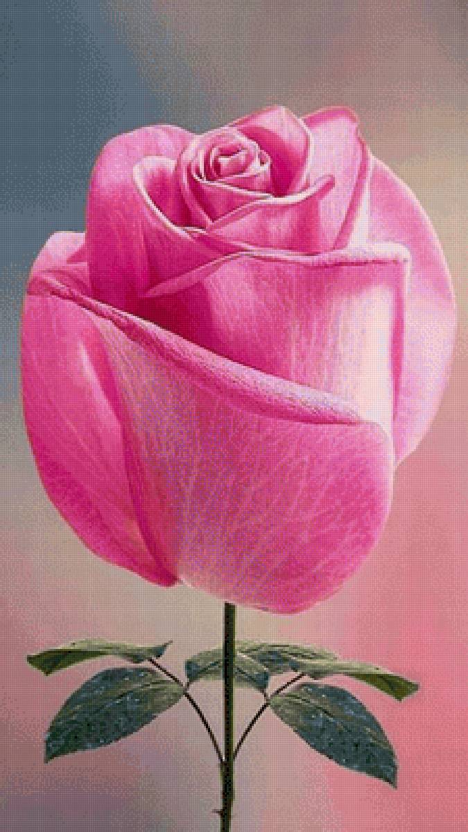 №2484367 - предпросмотр