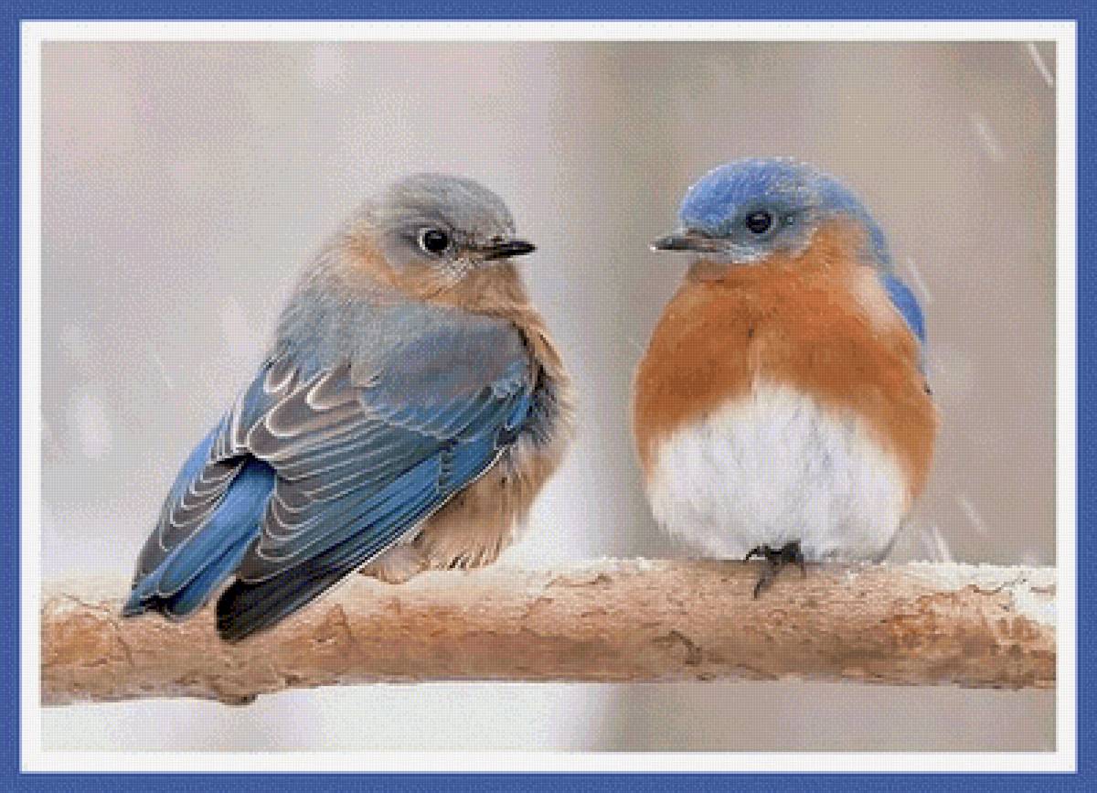 №2484648 - предпросмотр