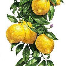 Схема вышивки «№2484924»