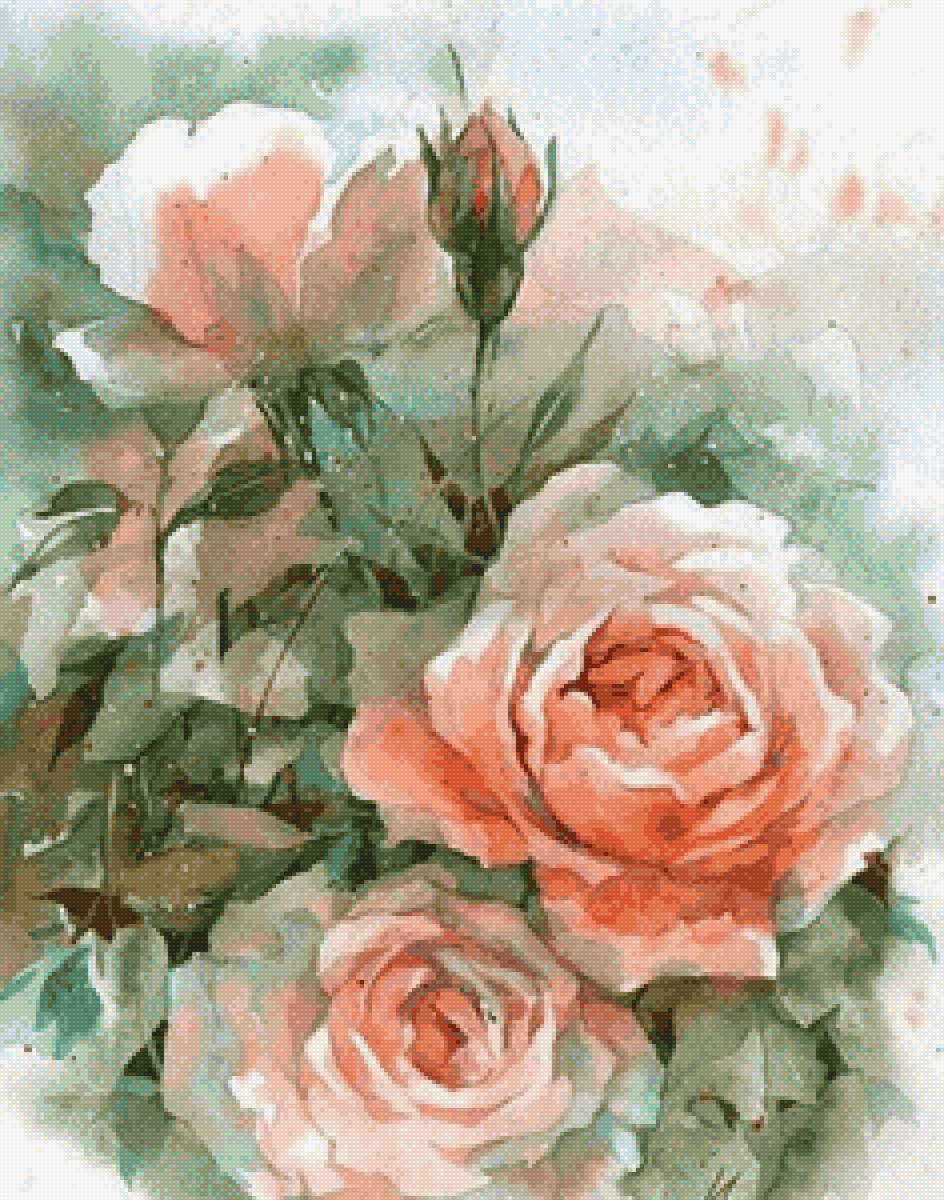 Розы акварель - роза, цветы, акварель - предпросмотр