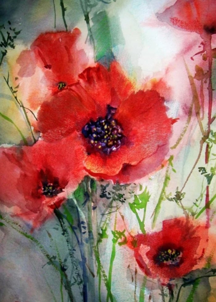 Маки - цветы, акварель, маки - оригинал