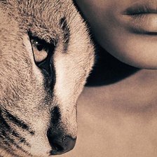 пепел и снег