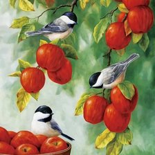 Схема вышивки «Птицы»