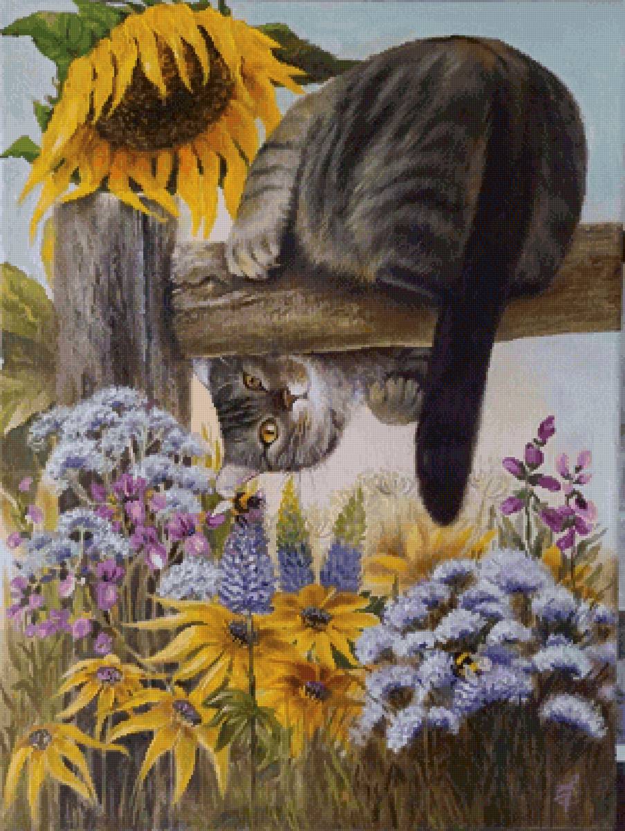 Котя - сад, лето, подсолнухи, животные, кошки - предпросмотр
