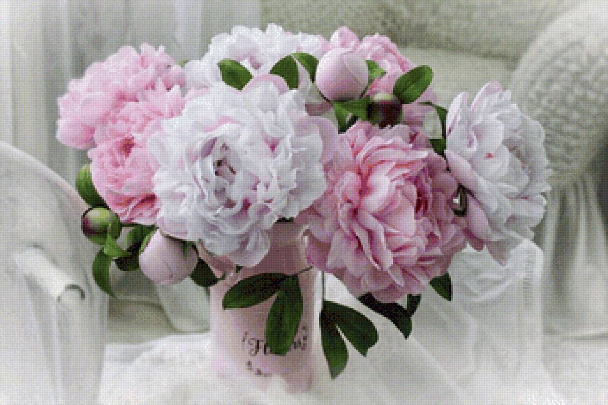 Пионы - натюрморт, цветы - предпросмотр