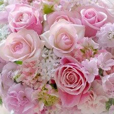 Схема вышивки «свежесть»