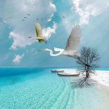 Схема вышивки «vuelo ba»