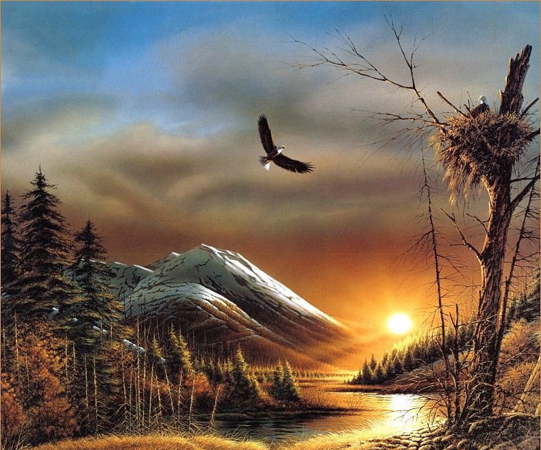 Свободный полёт - закат, лес, горы, орел, река - оригинал
