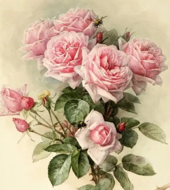 Винтажные розы - роза, винтаж, букет, цветы - оригинал