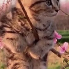 Схема вышивки «№2488091»