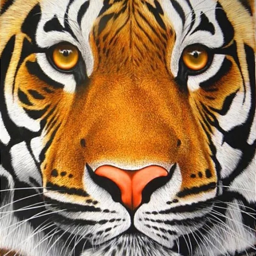 подушка Тигр - тигр, подушка, животные, дикие хищные кошки - оригинал
