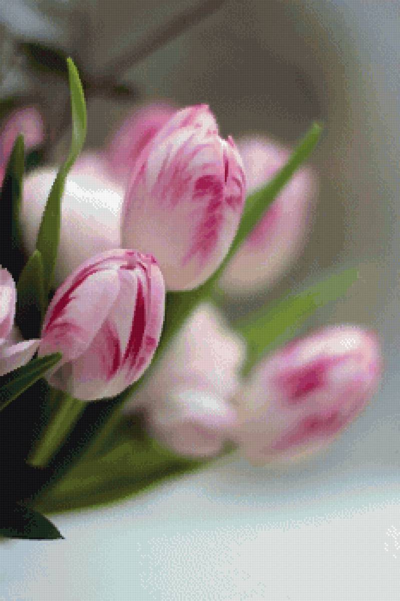 Тюльпаны - вышивка, хобби - предпросмотр