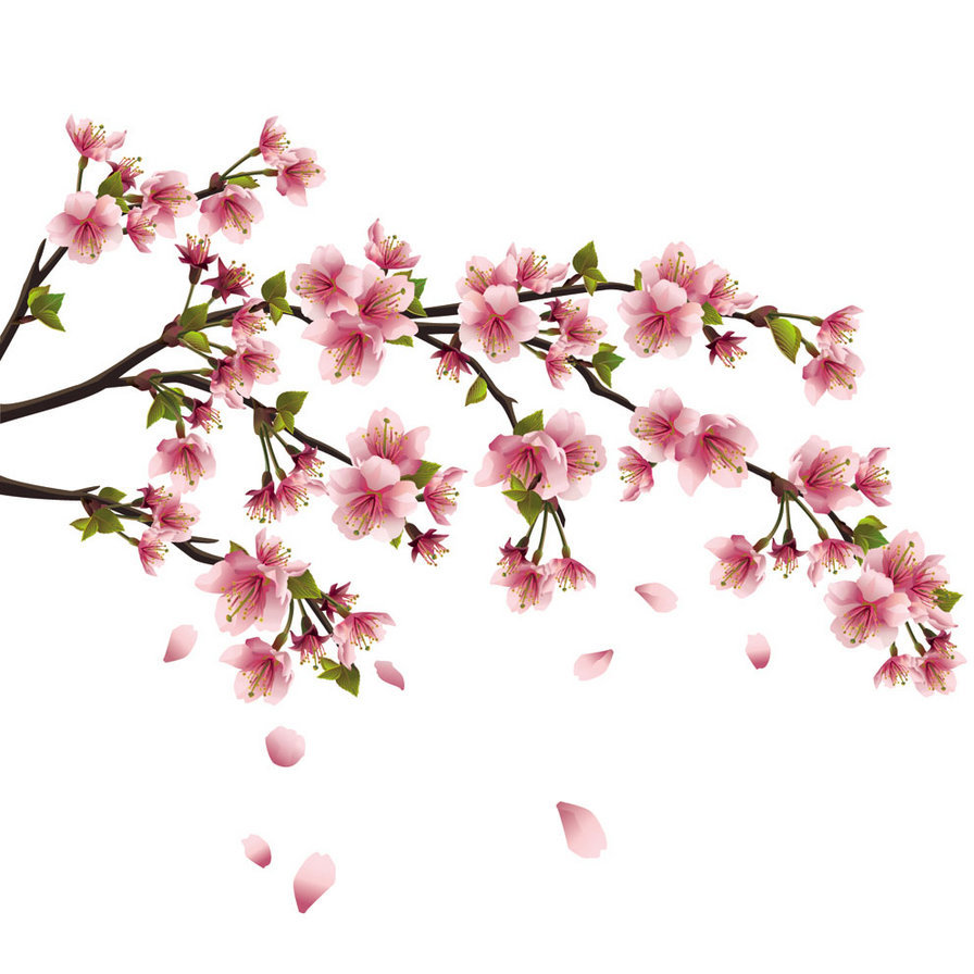 ВЕТКА САКУРЫ - сакура, цветы, розовый, лепестки, восточный мотив, ветка - оригинал