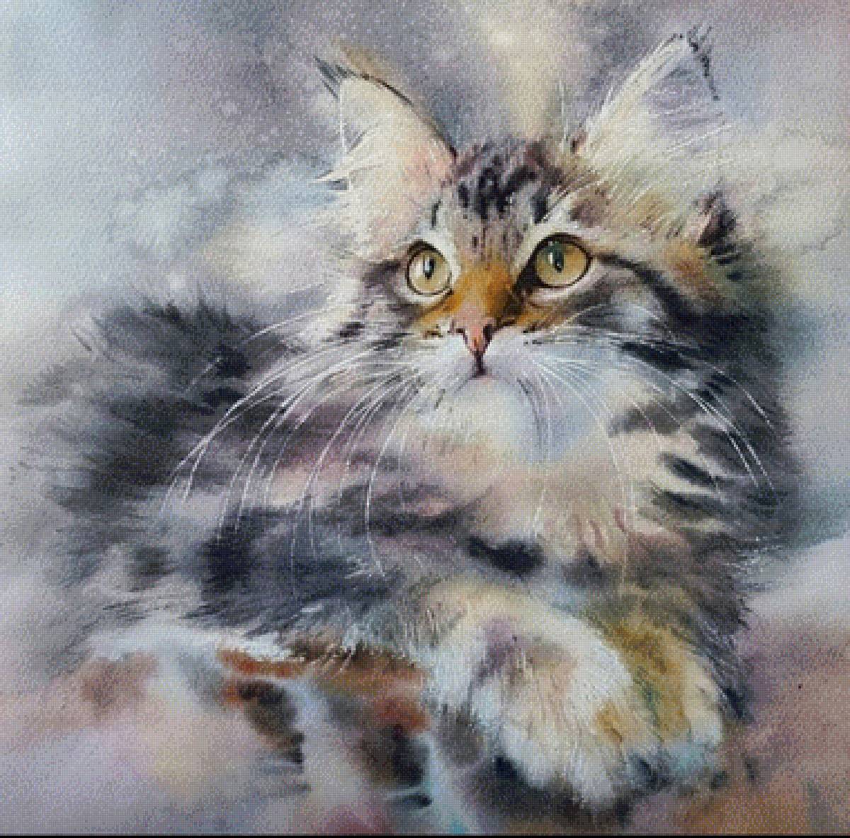 Кот - кот - предпросмотр