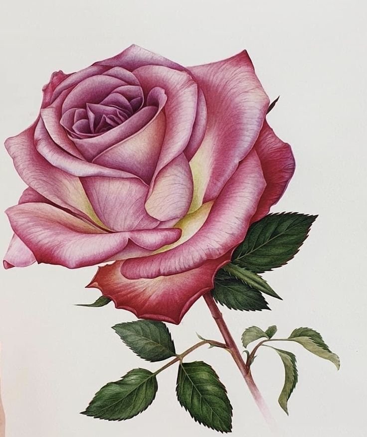 №2489266 - оригинал