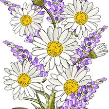 Оригинал схемы вышивки «Цветы» (№2489487)