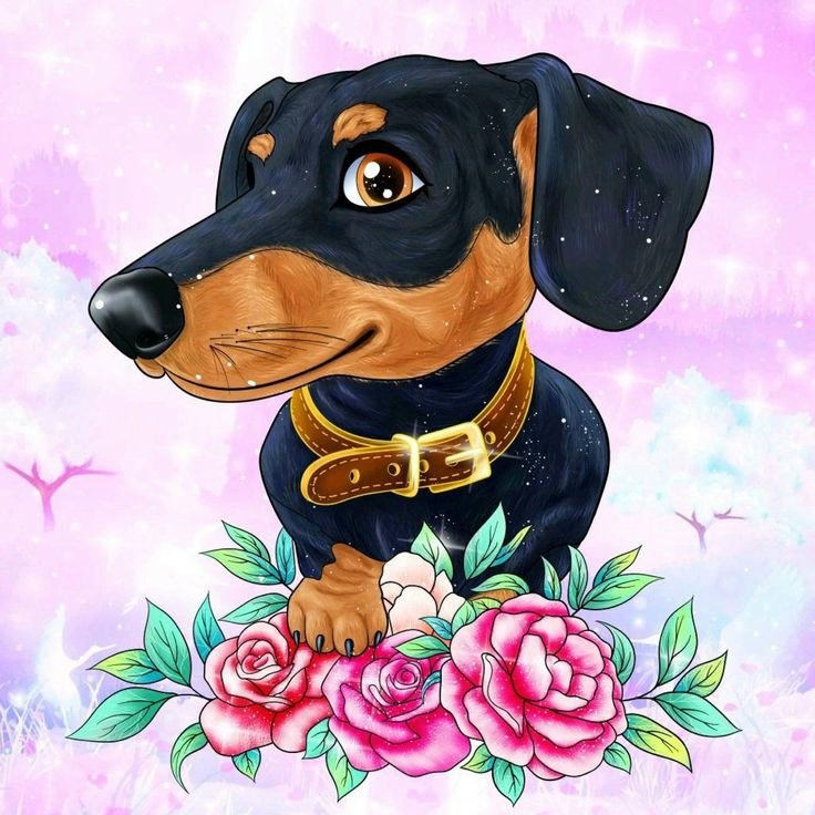 Такса - оригинал