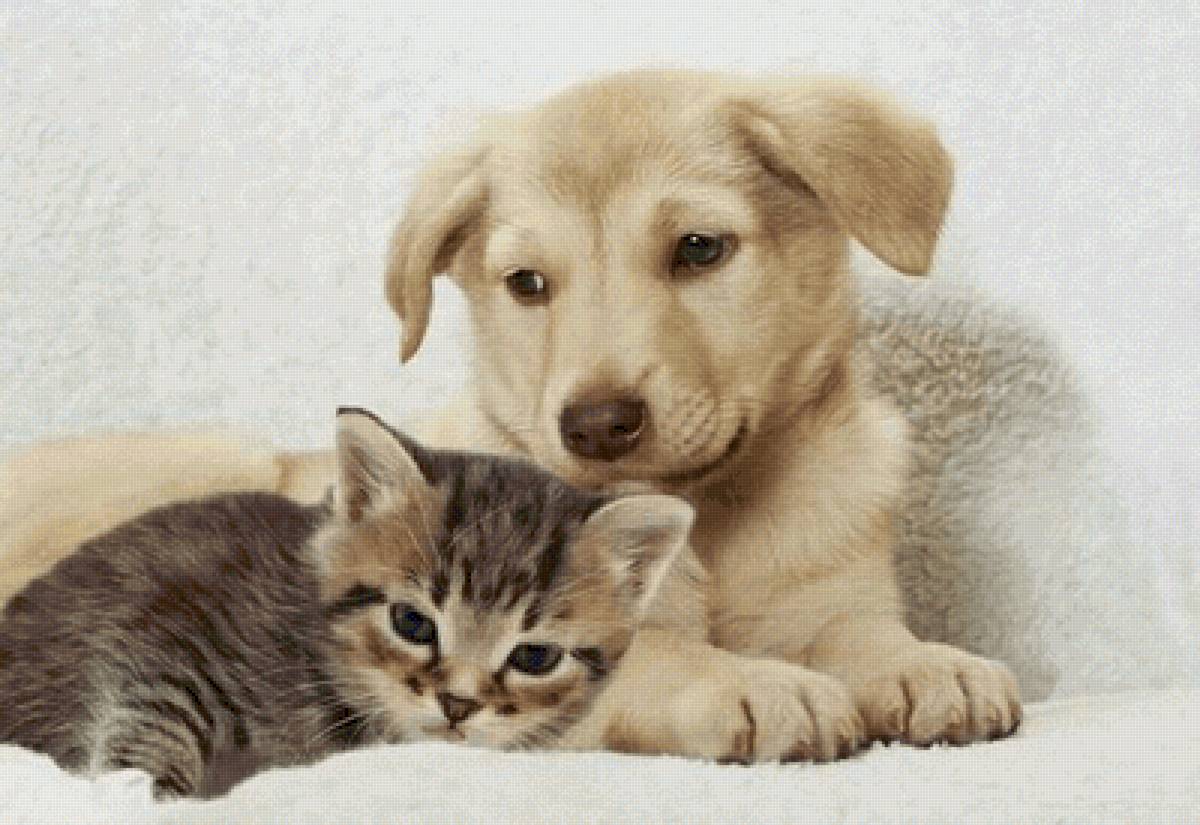 №2490202 - предпросмотр