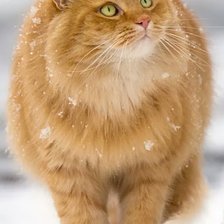 Схема вышивки «№2490327»