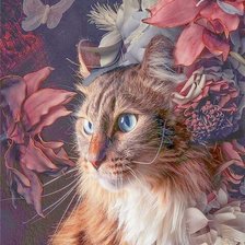 Кот в цветах
