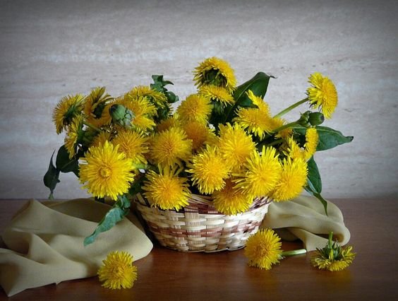 №2490530 - оригинал