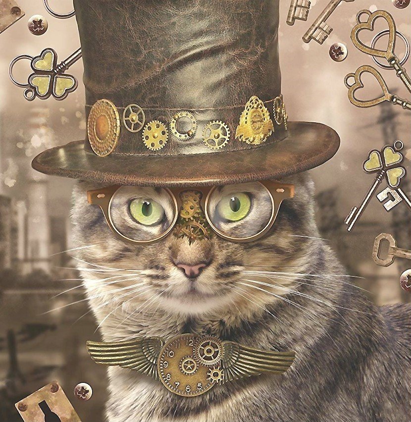 Кот ученый - животные, кот, кошки - оригинал