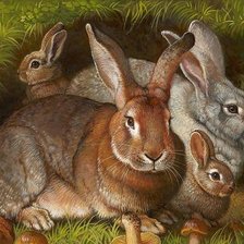 Схема вышивки «№2490859»