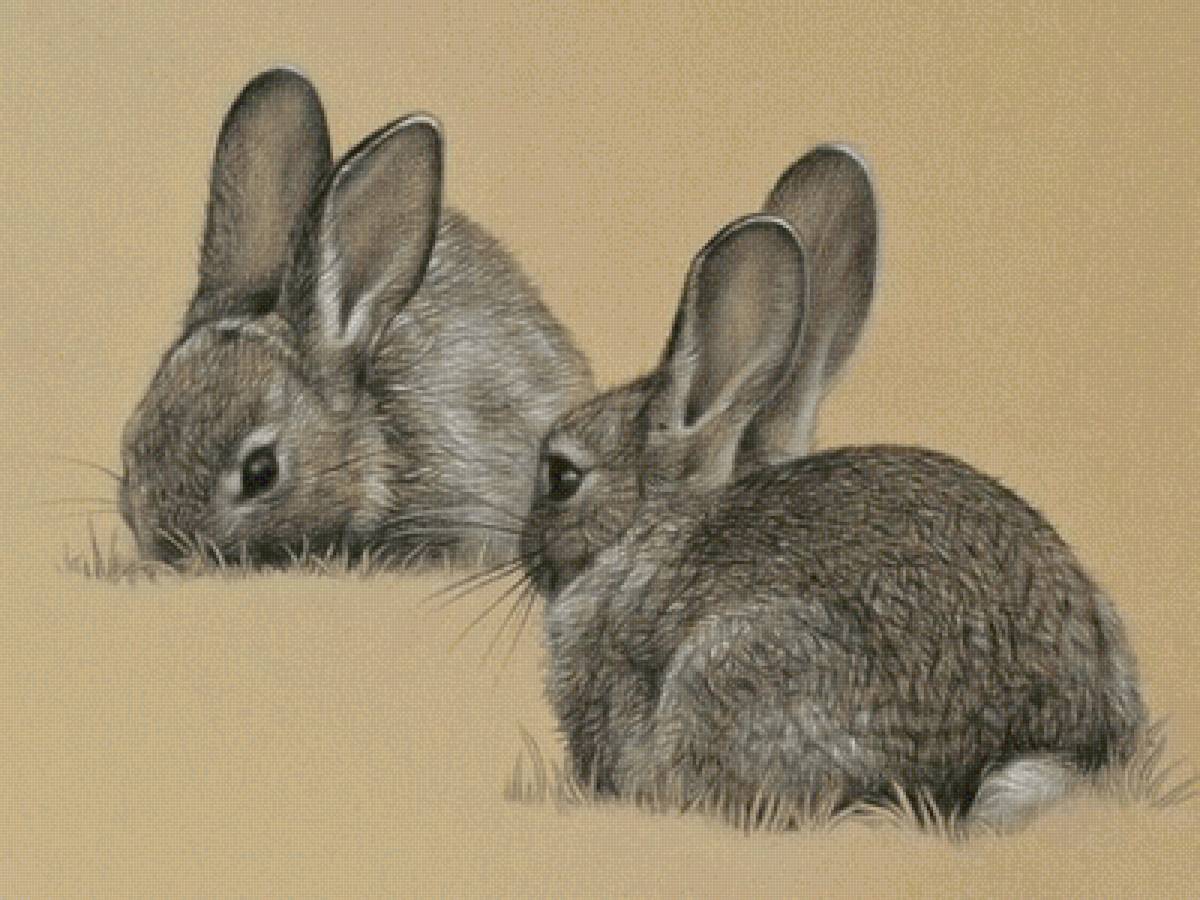 №2491082 - предпросмотр