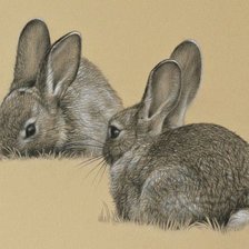 Оригинал схемы вышивки «№2491082»