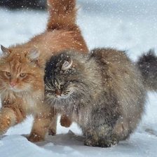 Схема вышивки «№2491143»