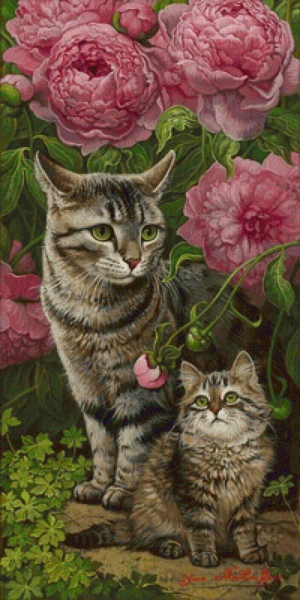 №2491221 - предпросмотр