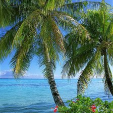 Схема вышивки «Palmas»