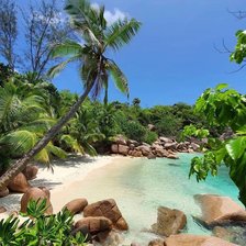 Схема вышивки «costa»