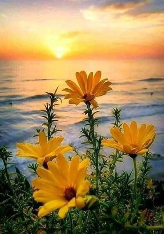 TARDE DE VERANO 2 - paisaje - оригинал