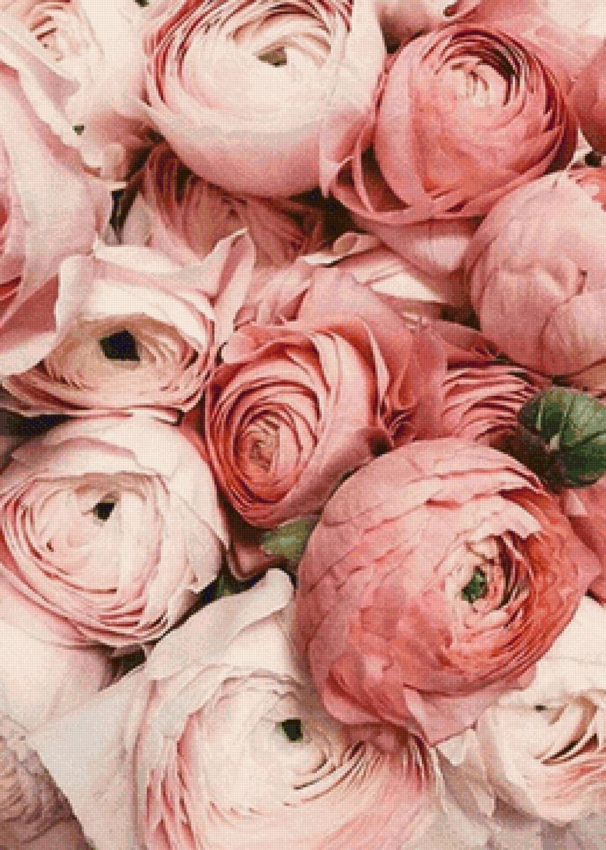 Цветы - цветы, пано - предпросмотр