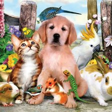 Схема вышивки «Животные дом  2»