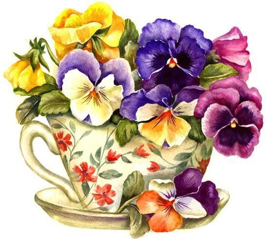 анютки - цветы - оригинал