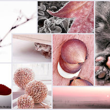 Схема вышивки «В розовом цвете»