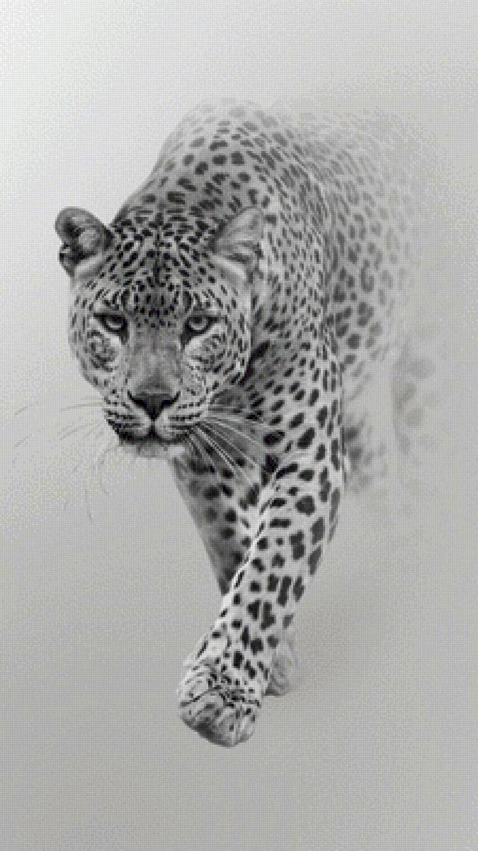 №2492077 - предпросмотр