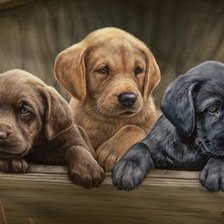 Схема вышивки «№2492231»