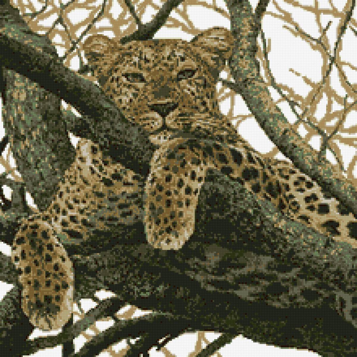 Леопард - предпросмотр